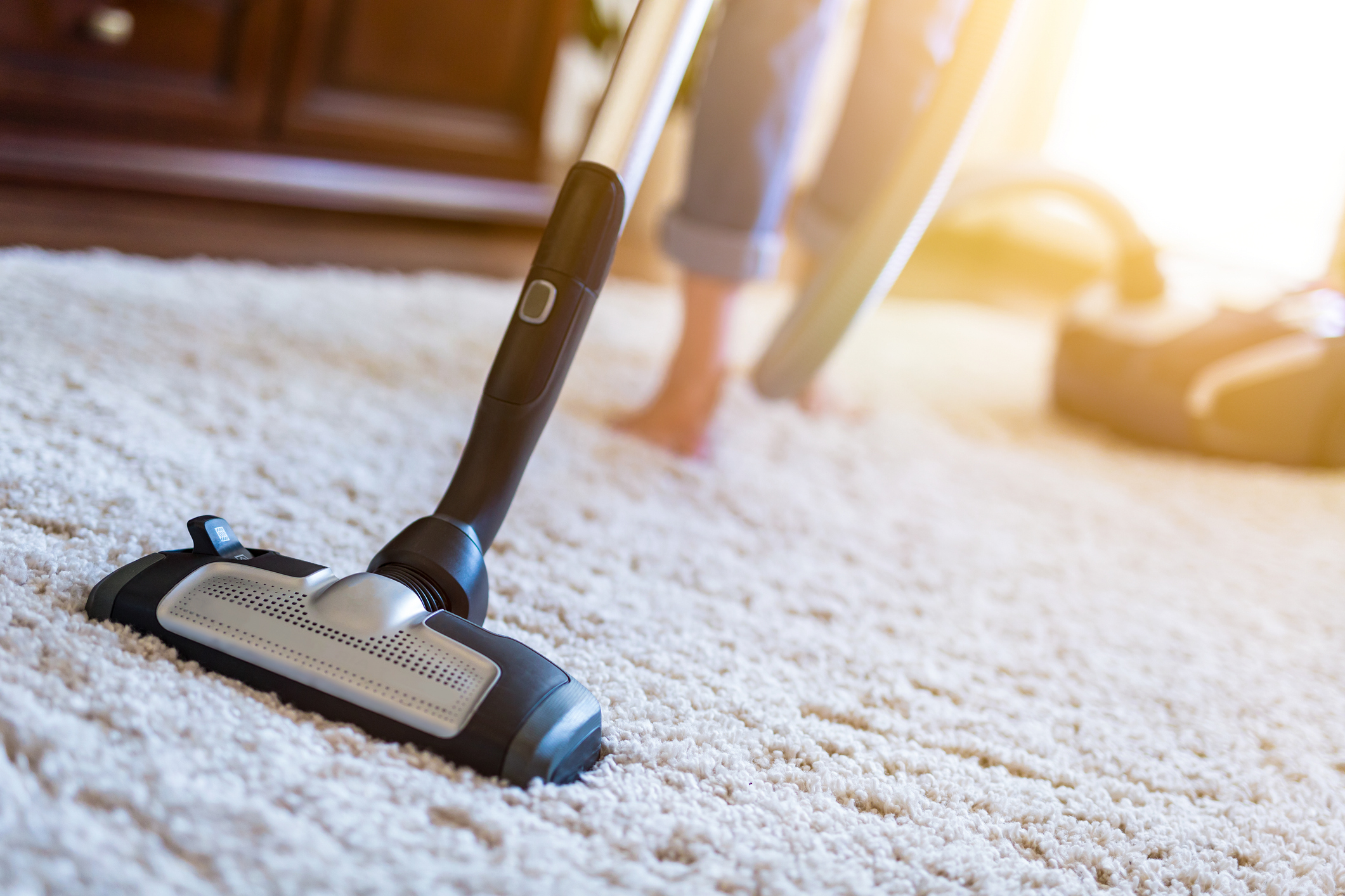 carpet care michigan city in